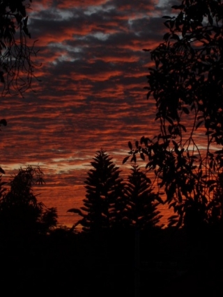  Paysages incroyables 